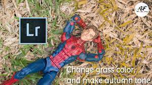 How to adjust color in adobe lightroom. Lightroom Tutorial Change Grass Color And Make Autumn Tone Toyphotography Youtube