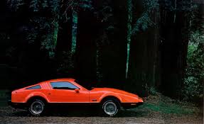 Image result for Safety Orange 1975 Bricklin