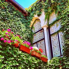 Pin By Rami James On Old Lebanon Architecture Beirut Lebanon Architecture Old Beirut