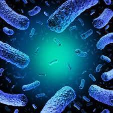 Learn about listeria, a germ that can contaminate food and cause an infection called listeriosis. Listeria Listeriosis Fda