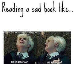 Harry potter memes have been a mainstay on the internet for longer than some of the youngest fans of the series have been alive. Draco Memes