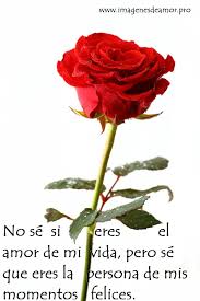 No Se Si Eres El Amor De Mi Vida Pero Se Que Eres La Persona De Mis Momentos Felices Poemas De Rosas Poemas De Amor Poemas De Amor Romanticos