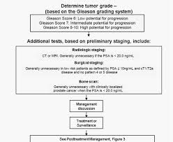 Psa Testing For The Pretreatment Staging And Posttreatment