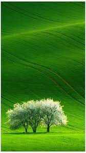 Wallpapers in ultra hd 4k 3840x2160, 1920x1080 high definition resolutions. High Resolution Ultra Hd 4k Minimal Mobile Wallpapers Download Ultra 4k Wallpape In 2021 Beautiful Scenery Wallpaper Scenery Wallpaper Beautiful Landscape Wallpaper