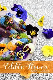 Edible Flower Spring Roll Edible Flowers Spring Rolls Flower Seeds