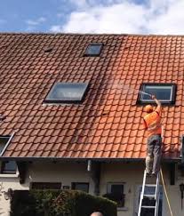 Bonnes Pratiques Pour Nettoyer Sa Toiture Distriartisan