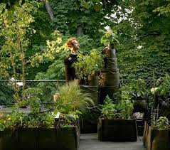 北歐櫥窗 bacsquare 移動小農場 320l 九方格 plants outdoor plants winter garden