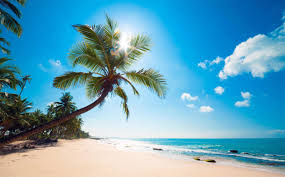 Our photos and pictures just come from professional photographers all people on beach. 2968x1837 Sunny Beach Hd Wallpapers Ocean And Palm Trees 2968x1837 Wallpaper Teahub Io
