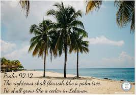 The palm tree breaks the bands. Flourish Like A Palm Tree Bible Fun For Kids