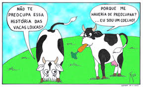 Major tinha encefalopatia espongiforme felina (fse), uma variação da doença da vaca louca, que infectou 180 mil animais do . Prion Doenca Da Vaca Louca Bio Nota 10