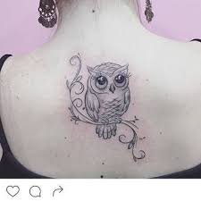 Resultado De Imagem Para Tattoo Coruja Delicada Tracos Tatuagem Coruja Coruja Tattoo Corujas Tatoo Tatuagens masculinas pequenas 40 tatuagens masculinas de frases. tatuagem coruja coruja tattoo