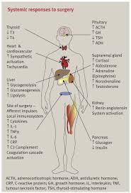 Pin On Nursing