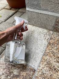 被螞蟻糾纏嗎 四招多管齊下的純天然驅蟲秘技 教你輕鬆擺脫螞蟻 homify ameisen ameisen im haus einfach