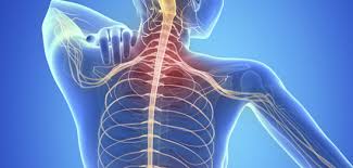 People with multiple sclerosis (ms) tend to have their first symptoms between the ages of 20 and 40. Multiple Sclerosis Symptoms Causes Know More