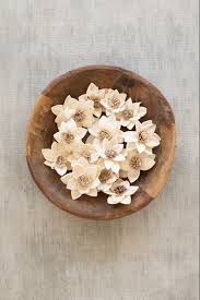 Central mississippi wholesale florist 4310 highway 80 west jackson, ms 39209. Bag Of 16 Dried Rukmani Flowers