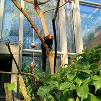 Alle zimmer haben runde bäder, die mit beheizten solnhofer natursteinböden ausgestattet sind. Manatihaus Zerzabelshof Am Tiergarten 30