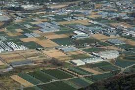 線引き前宅地ってなに? その1