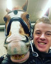 Blue Hors Groom Lars Seefeld Enjoying the Daily Life in a Thriving Team