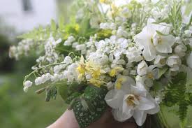On flowers amy merrick review. Each Little World Weblogs