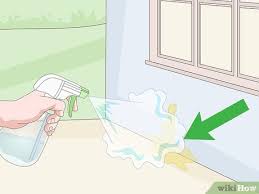Ev Yapimi Kedi Kovucu Nasil Yapilir Wikihow