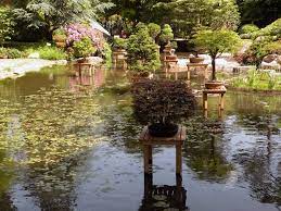 Pin On Haut Jardinage