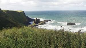 Camel rock on wn network delivers the latest videos and editable pages for news & events, including entertainment, music, sports, science and more, sign up and share your playlists. The Giant S Causeway The Science And The Myths Part 2 Travelling Hummingbirds