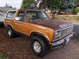 Image result for Dark Cocoa 1981 Bronco