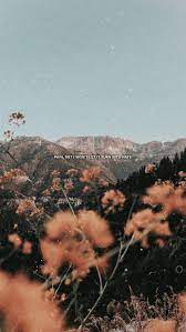 Shawnwallpaper Ig Shawnmendes Wallpaper Lockscreen Background Tumblr Wallpaper Homescreen Wallpaper Aesthetic Wallpapers