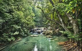 Über den fluss und in die wälder. Bilder Jungle Natur Wasserfall Wald Tropen Fluss 3840x2400