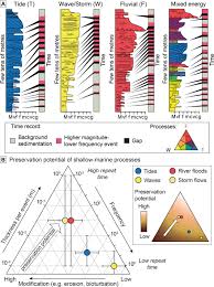 Controls On Tidal Sedimentation And Preservation Insights