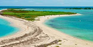 Check spelling or type a new query. Dry Tortugas National Park Dry Tortugas Ferry Yankee Freedom