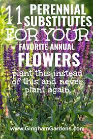 Perennial Substitutes For Your Favorite Annual Flowers In 2021 Annual Flowers Flowers Perennials Planting Flowers