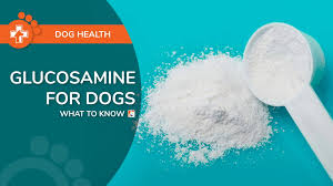 What to Know About Glucosamine for Dogs – Boneo Canine