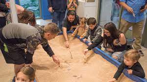 You will feel great about taking your children here, since they will learn something. 25 Things To Do In San Antonio Texas With Kids Mommy Nearest