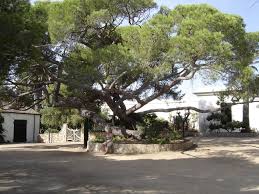 L'archipel de la maddalena est composé de plusieurs iles, dont l'une, caprera, fut l'ultime demeure de giuseppe garibaldi. Caprera Casa Di Garibaldi Mapio Net