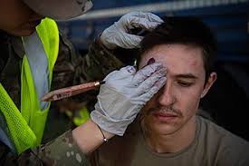 File:NATO Allies and partners undertake scenarios during Vigorous Warrior  24 (8385015).jpg