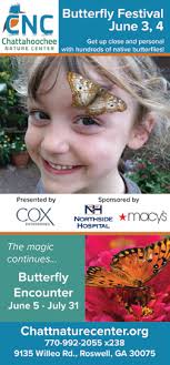 East Cobb Valedictorians PAGE 10