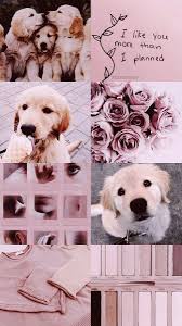 A E S T H E T I C D O G S Pink Animals Dogs Collage Aesthetic Tumblr Pink Wallpaper Iphone Dog Wallpaper Iphone Iphone Background Art
