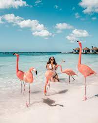 Maybe you would like to learn more about one of these? The Ultimate Aruba Travel Guide Adaras Blogazine