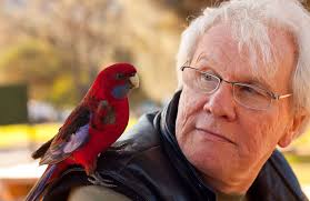 Buy Fiction Factory Book Online at Low Prices in India