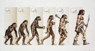 Drawing animals with human characteristics. What Makes Us Human 11 Important Features