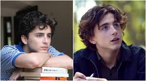 It reminds me of stephen chobsky's the perks of being a wallflower, the way call me by your name is such. Oscars 2018 Call Me By Your Name And Lady Bird Actor Timothee Chalamet Can Pull Off Diametrically Opposite Roles Entertainment News The Indian Express