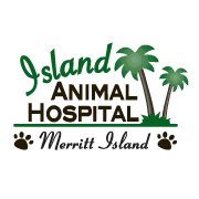 Veterinarian in brevard county, fl. Island Animal Hospital Home Facebook
