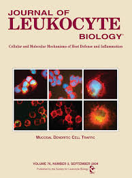 Bruno ricardo | nada é melhor que aprender ! Endogenous Ligands Of Toll Like Receptors Tsan 2004 Journal Of Leukocyte Biology Wiley Online Library