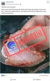 Ikan hiu bernafas dengan menggunakan lima liang. Kementerian Komunikasi Dan Informatika