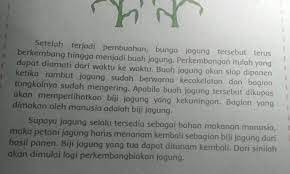 Maybe you would like to learn more about one of these? Tuliskan Ide Pokok Kalimat Utama Dan Kesimpulan Pada 2 Paragraf Berikut Mohon Di Pisah Tiap Brainly Co Id