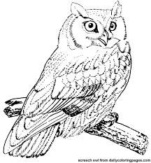 We did not find results for: Color Me Owl Coloring Pages Bird Coloring Pages Animal Coloring Pages