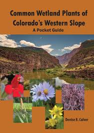 Check spelling or type a new query. Colorado Wetland Field Guides And App Colorado Wetland Information Center