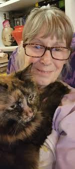 Found tortoise shell cat