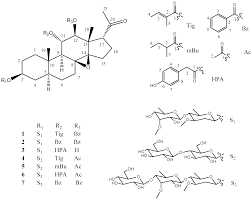 Image result for Marsdenia dregea